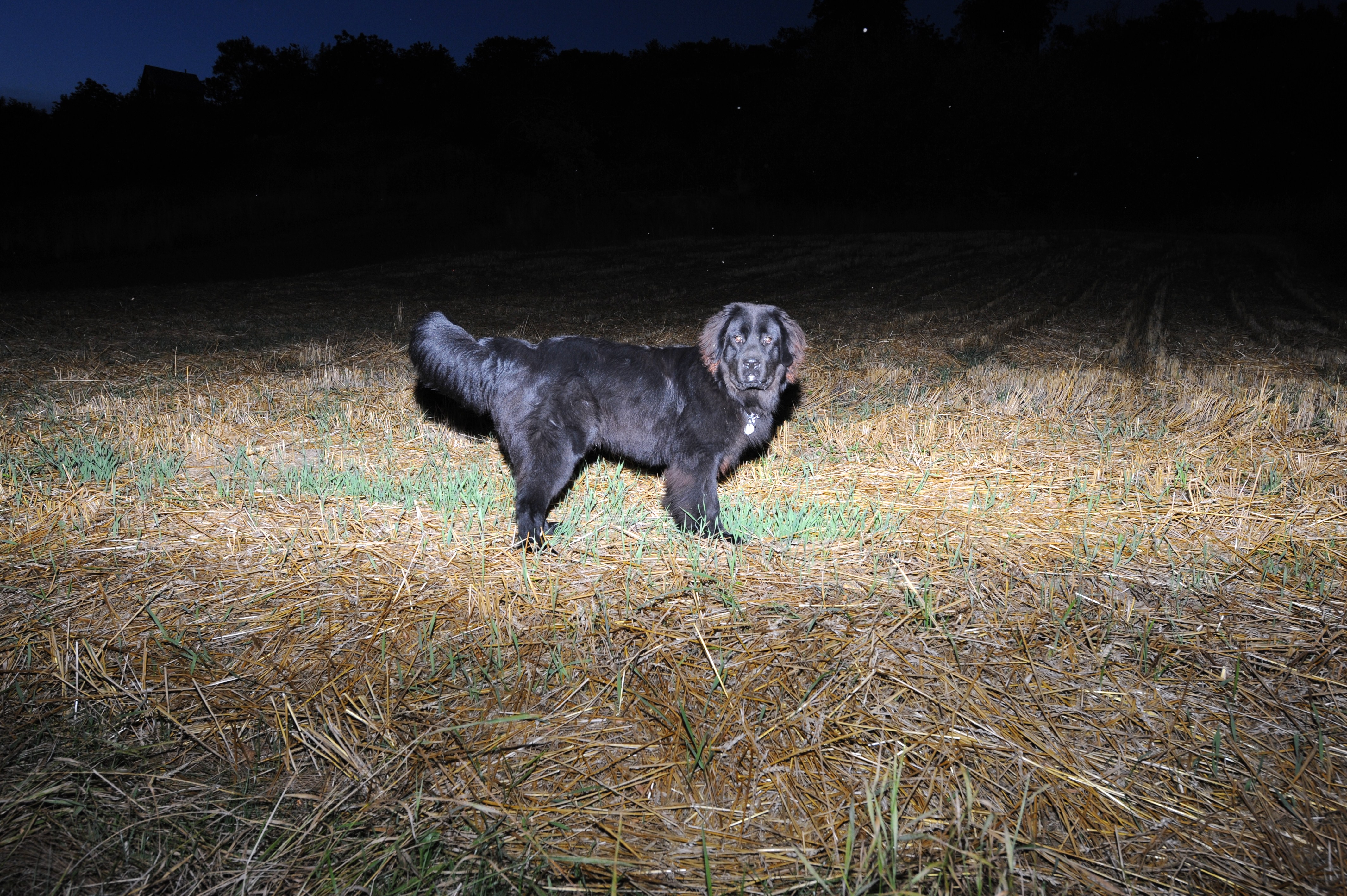 DSC_0274.JPG